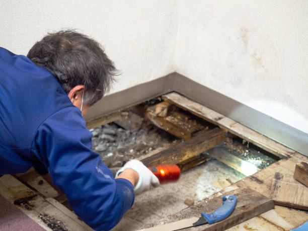 Best Water Damage Restoration  in Fivepointville, PA