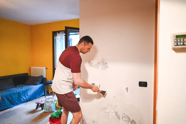 Certified Mold Removal in Fivepointville, PA